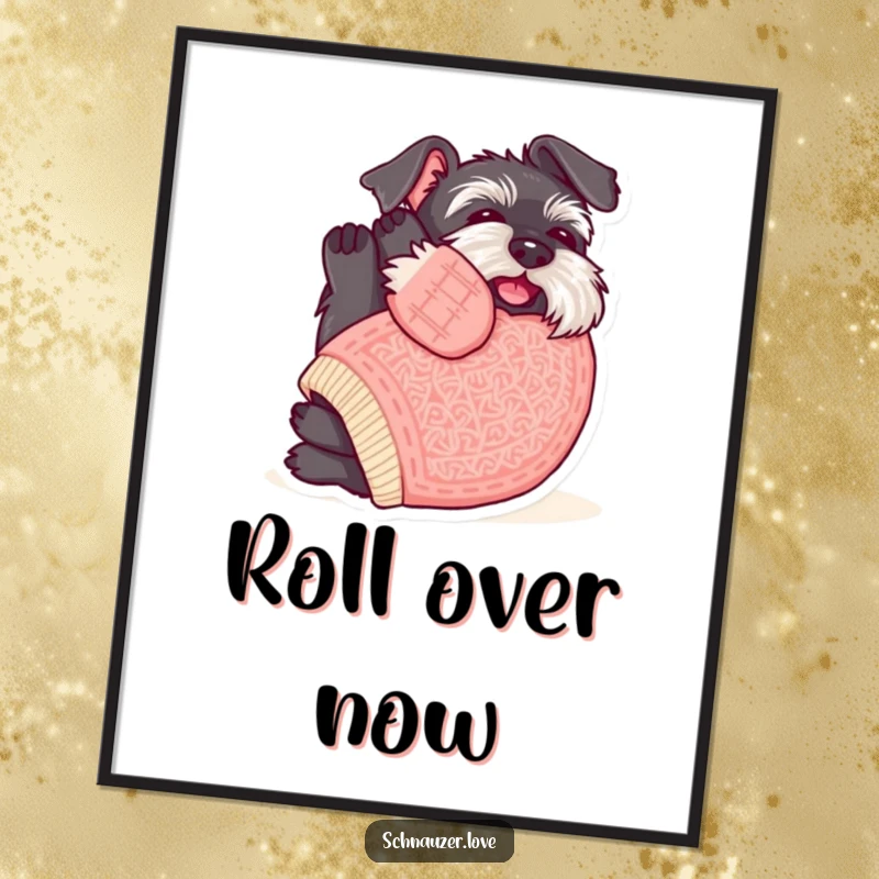 Funny Schnauzer Digital Art Print: Schnauzer in a sweater rolling on its back for belly rubs, a humorous and cute artwork.