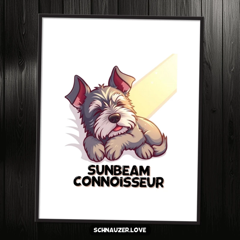 Funny Schnauzer Poster: A contented schnauzer naps peacefully in a sunbeam, creating serene and hilarious relaxation for wall art.