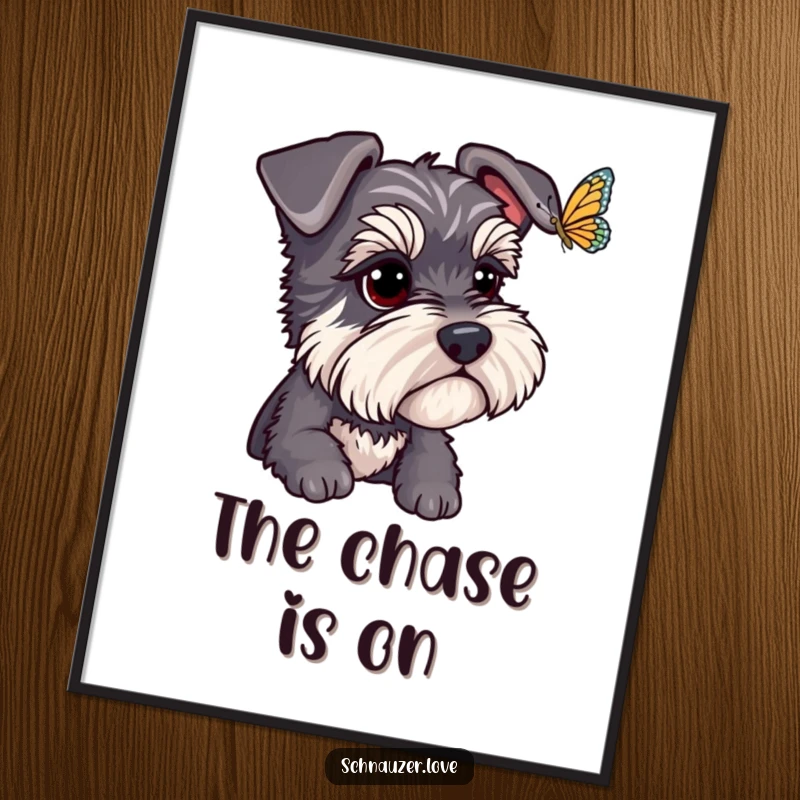 Funny Schnauzer Poster: A schnauzer's bright eyes intently follow a fluttering butterfly, creating a humorous and captivating piece of wall art. Funny gift.